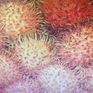 Meet your Posher, Sabrina